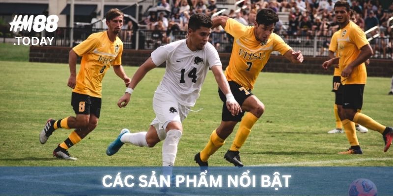 Các sản phẩm và dịch vụ Thể Thao HM88.