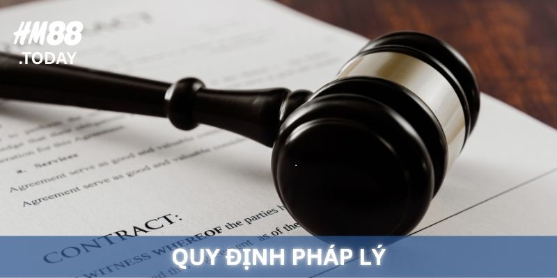 Các quy định pháp lý của Miễn Trừ Trách Nhiệm HM88.