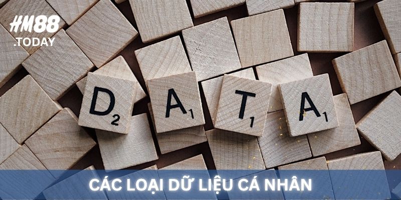Các loại dữ liệu cá nhân trong chính sách bảo mật HM88.