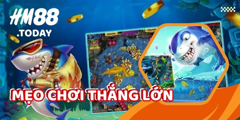 Mẹo chơi Bắn cá ăn xu thắng lớn cho cược thủ.